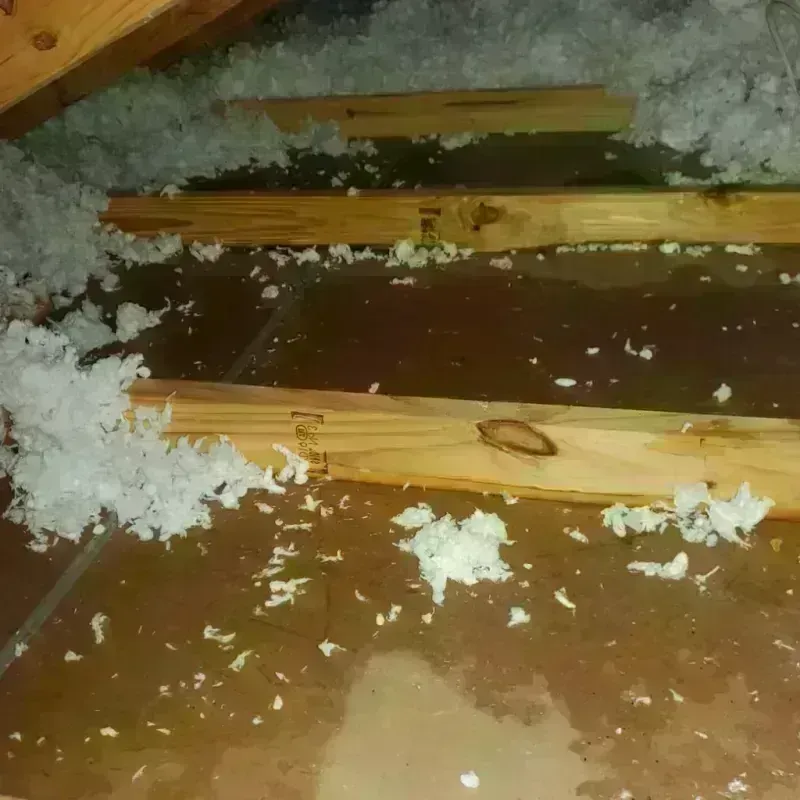 Attic Water Damage in Ojai, CA